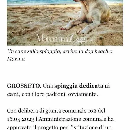 Apartamento Casa Lucia A Due Passi Dal Mare Wi-fi Free Parking